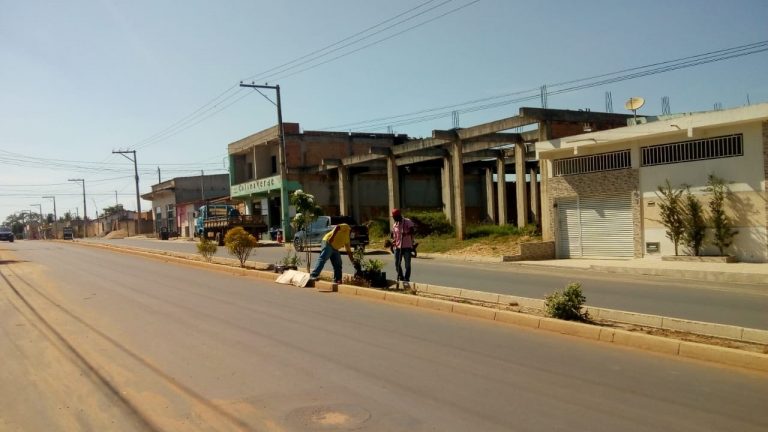 Colina Verde terá alameda de Ipês