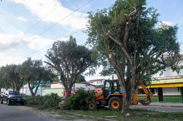 Equipe da Secretaria de Meio Ambiente realiza poda de árvores próximo ao CEPROG