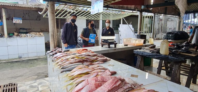 Meio Ambiente: Mais uma ação de fiscalização em atenção ao defeso do Robalo neste sábado