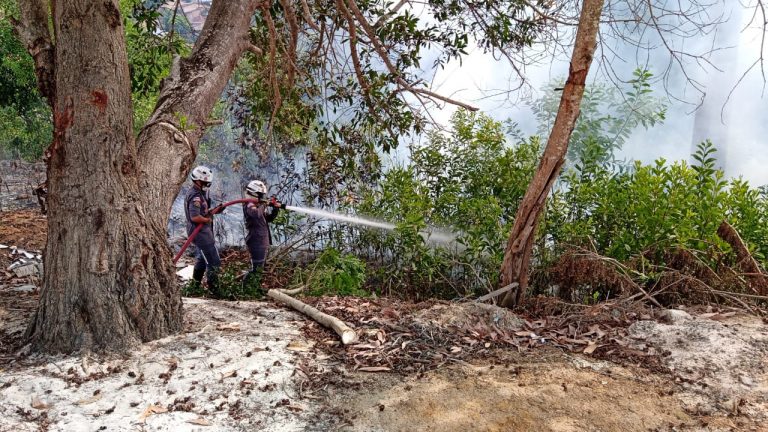 Fogo em área de APP é registrado e Secretaria de Meio Ambiente faz alerta