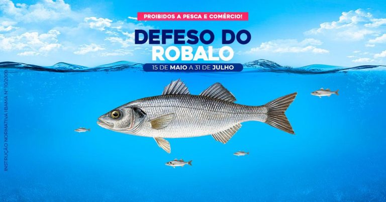 Secretaria de Meio Ambiente alerta para período de defeso do robalo