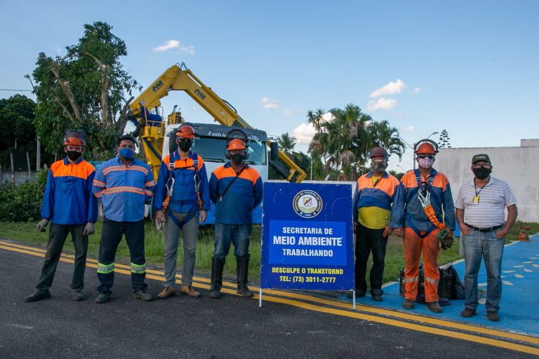 Prevenção: Equipe da Secretaria de Meio Ambiente realiza poda de árvores no Aeroporto 9 de Maio em Teixeira de Freitas