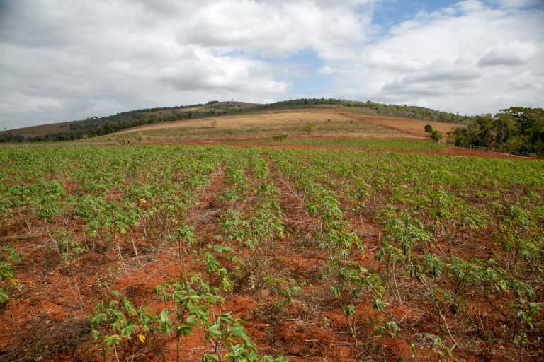 Semana da Agricultura Familiar começa nesta sexta-feira, 23