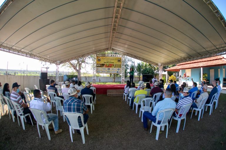 Prefeitura promove Dia de Campo do Concurso Regional Conilon de Qualidade