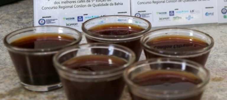 20 de novembro: 5° Concurso Regional Conilon de Qualidade terão vencedores anunciados na E-Agro