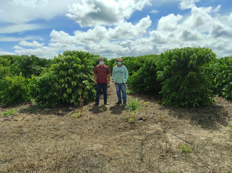 Secretaria de Agricultura realiza visita técnica veterinária e agrícola na comunidade de São Sebastião