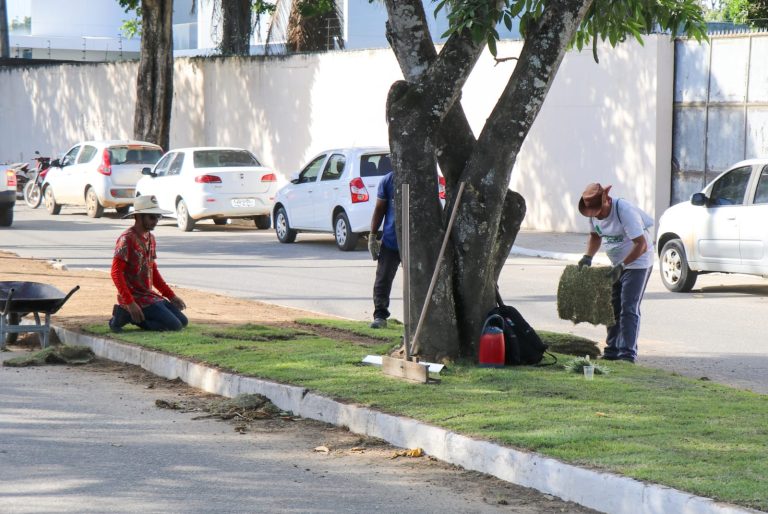 Prefeitura inicia processo de revitalização de canteiros em espaços públicos de Teixeira de Freitas