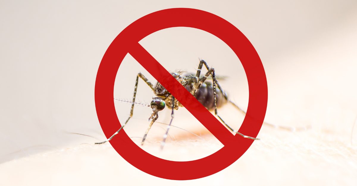 Semana de Mobilização contra o Mosquito Aedes aegypti - Prefeitura  Municipal de Ituporanga