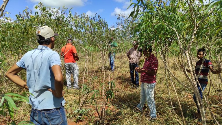 Prefeitura realiza visita para avaliação técnica no distrito de Jardim Novo para o projeto Pat Mandiocultura