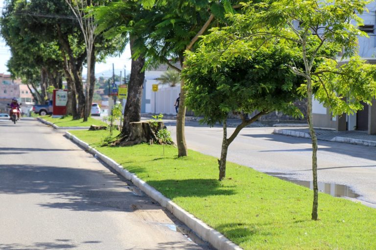 Prefeitura realiza trabalho de paisagismo na Avenida Brasil