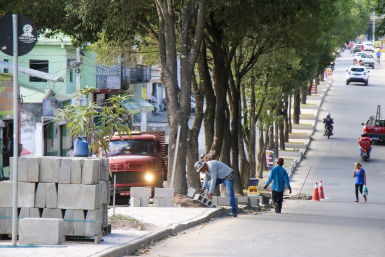 Prefeitura realiza processo de revitalização de canteiros da Avenida Padre Anchieta