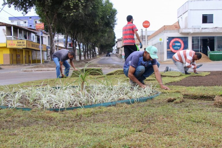 Equipes prosseguem com revitalização da Avenida Padre Anchieta; confira imagens