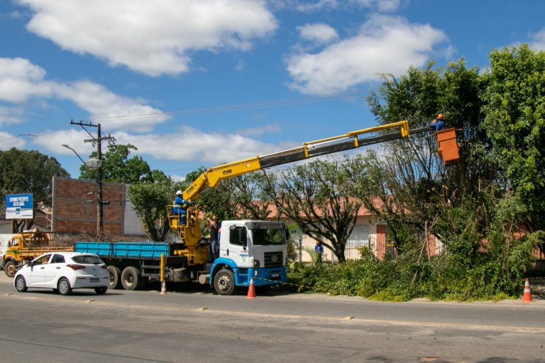 Prefeitura realiza poda de árvores na Avenida Getúlio Vargas