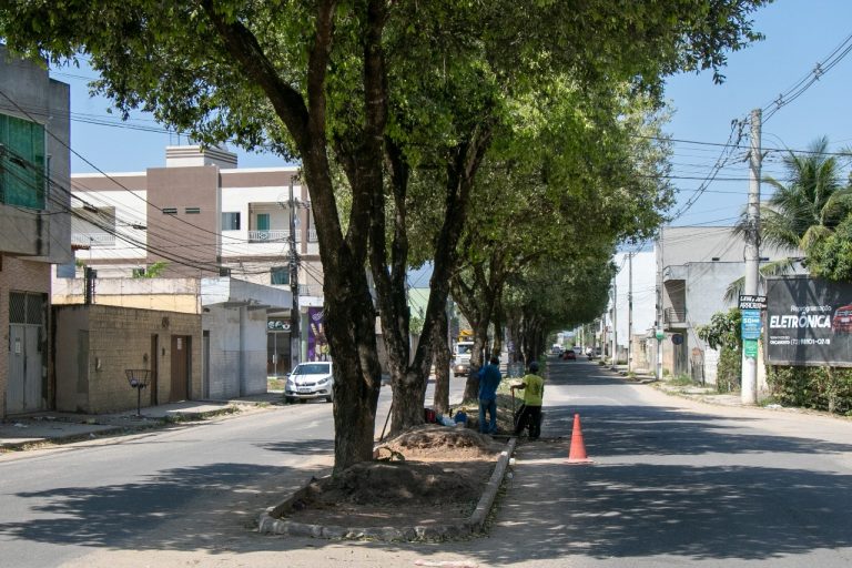 Prefeitura efetua serviço de revitalização de canteiros da Avenida Kaikan