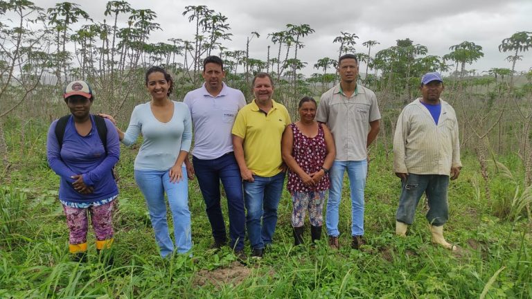 Prefeitura realiza avaliação de roças de mandioca em Cachoeira do Mato