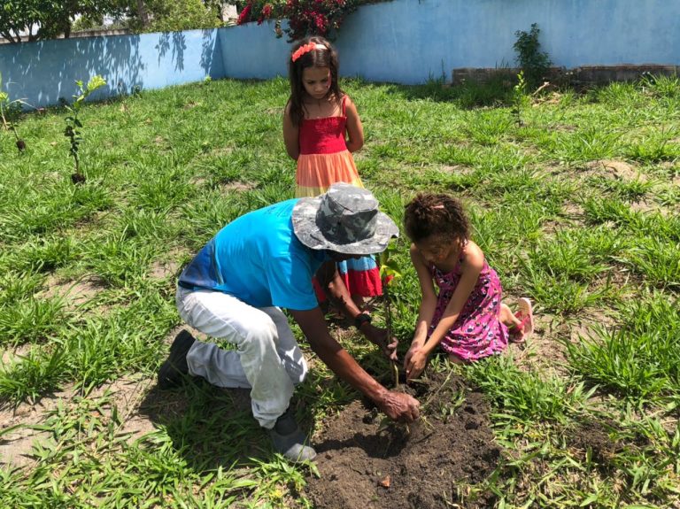 Prefeitura realiza plantio de frutíferas em UBS de Teixeira de Freitas; saiba mais