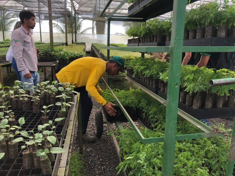 Equipe da Secretaria de Meio Ambiente realiza visita técnica ao viveiro AMA