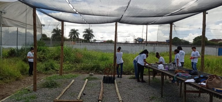 Estudantes do IFBaiano finalizam estágio voltado para programas florestais; confira 