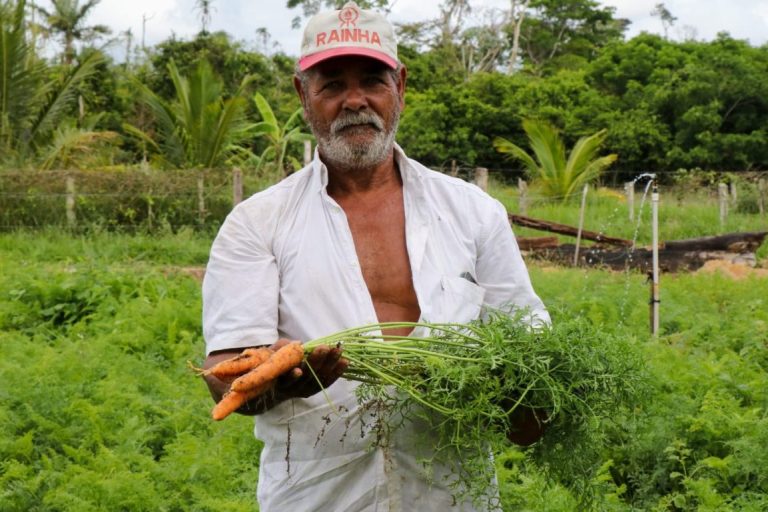 Prefeitura publica edital para chamada pública visando aquisição de alimentos da agricultura familiar; saiba como participar