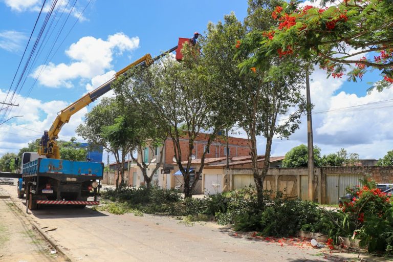 Prefeitura realiza supressão de árvores em avenida de Teixeira de Freitas