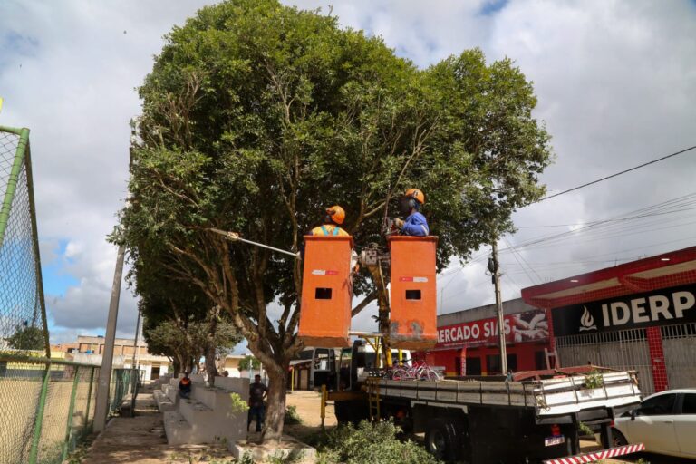 Prefeitura realiza poda de árvores em bairro de Teixeira de Freitas