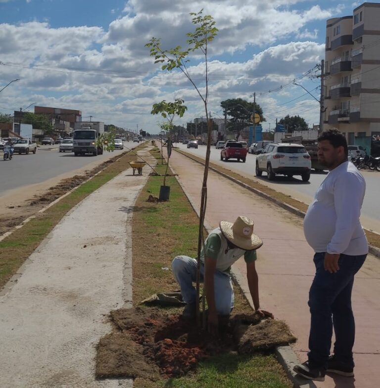 Prefeitura inicia plantio de mudas em ciclovia de Teixeira de Freitas