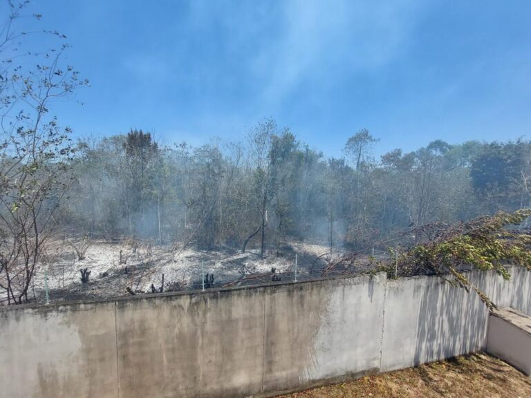 Confira dicas para prevenir queimadas em Teixeira de Freitas; diversas regiões foram atingidas no último fim de semana