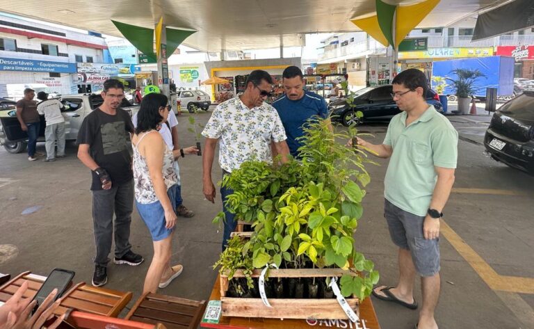 Prefeitura reforça responsabilidade ambiental com mais um drive thru de mudas nativas; confira