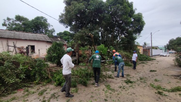 Prefeitura realiza a manutenção de poda e corte de árvores em ruas de Teixeira de Freitas após danos causados pelas chuvas