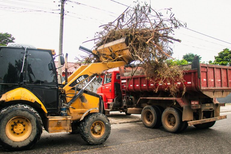 Mutirão de limpeza contra as arboviroses ocorrerá na terça (05)